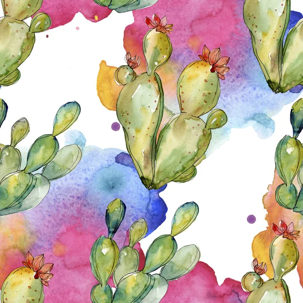Flores botánicas florales de cactus verde. Conjunto de ilustración de fondo acuarela. Patrón de fondo sin costuras . —  Fotos de Stock