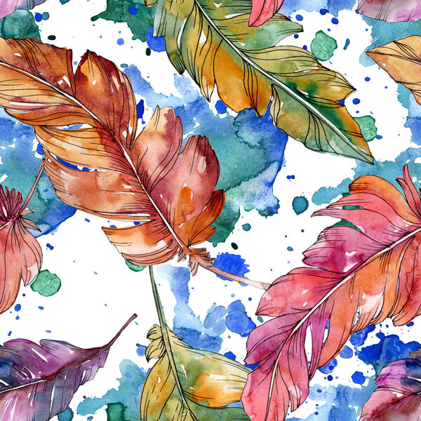 Colorful bird feather from wing isolated. Watercolor background illustration set. Seamless background pattern.