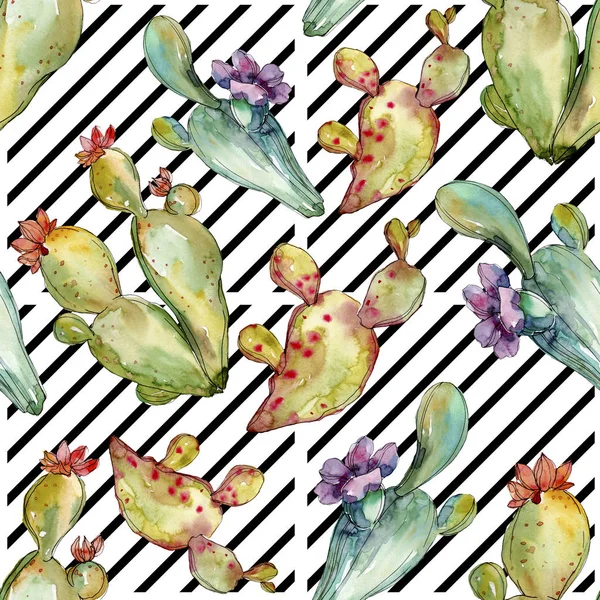 Fleurs botaniques florales de cactus vert. Ensemble d'illustration de fond aquarelle. Modèle de fond sans couture . — Photo