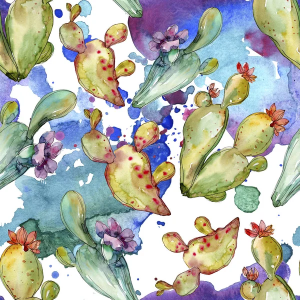Zielony kaktus kwiatowy kwiatów botanicznych. Akwarela zestaw ilustracji tła. Płynny wzór tła. — Zdjęcie stockowe