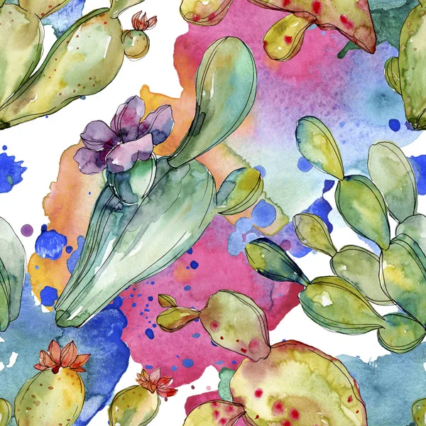 Fleurs botaniques florales de cactus vert. Ensemble d'illustration de fond aquarelle. Modèle de fond sans couture . — Photo