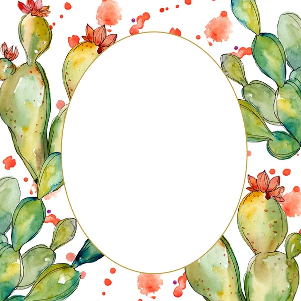 Fiori botanici floreali di cactus verde. Acquerello sfondo illustrazione set. Quadrato ornamento bordo cornice . — Foto Stock