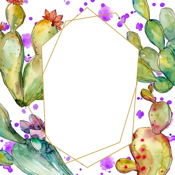 Fleurs botaniques florales de cactus vert. Ensemble d'illustration de fond aquarelle. Cadre bordure ornement carré . — Photo