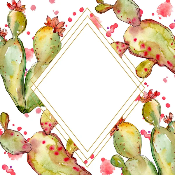 Cacto verde flores botânicas florais. Conjunto de ilustração de fundo aquarela. Quadro borda ornamento quadrado . — Fotografia de Stock