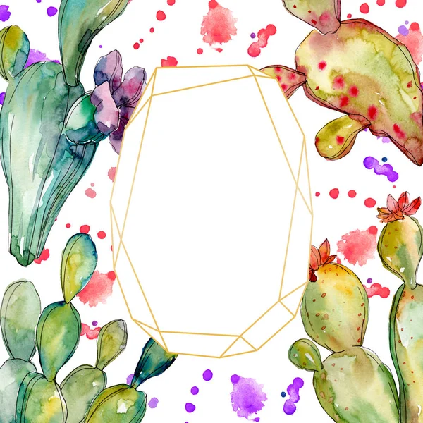 Green cactus floral botanical flowers. Watercolor background illustration set. Frame border ornament square. — Stock Photo, Image