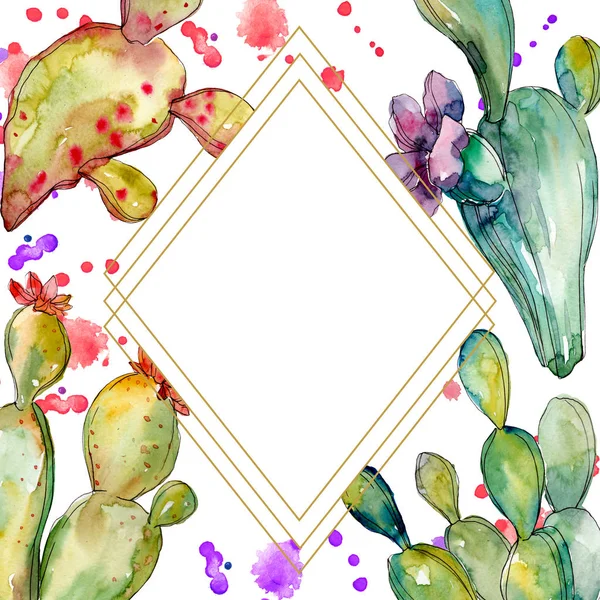 Cacto verde flores botânicas florais. Conjunto de ilustração de fundo aquarela. Quadro borda ornamento quadrado . — Fotografia de Stock