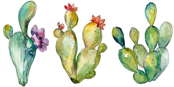 Green cactus floral botanical flowers. Watercolor background illustration set. Isolated cacti illustration element. Stock Photo