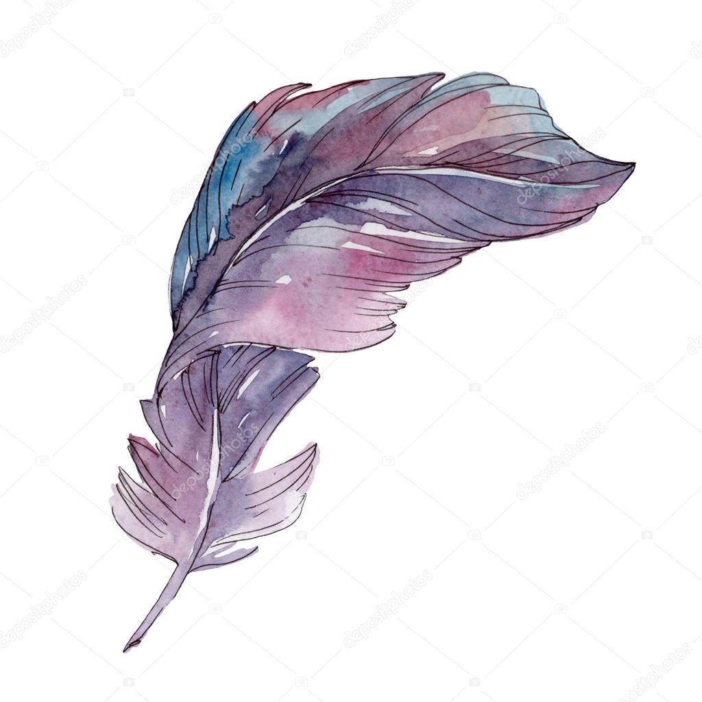 Colorful bird feather from wing isolated. Watercolor background set. Isolated feathers illustration element.
