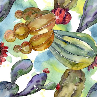 Kaktüs çiçek botanik çiçekleri. Yabani bahar yaprağı kır çiçeği. Suluboya illüstrasyon seti. Suluboya çizim moda aquarelle. Kusursuz arka plan deseni. Kumaş duvar kağıdı baskı doku.