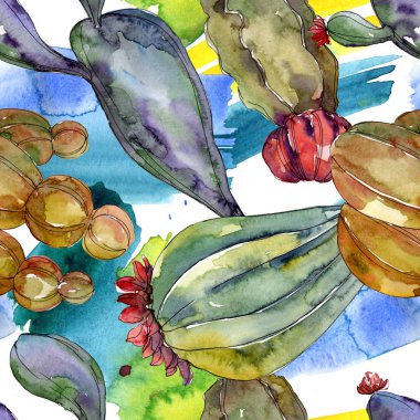 Kaktüs çiçek botanik çiçekleri. Yabani bahar yaprağı kır çiçeği. Suluboya illüstrasyon seti. Suluboya çizim moda aquarelle. Kusursuz arka plan deseni. Kumaş duvar kağıdı baskı doku.