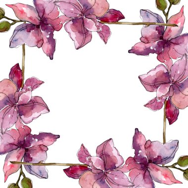 Orkide çiçek botanik çiçekleri. Yabani bahar yaprağı kır çiçeği. Suluboya arka plan illüstrasyon seti. Suluboya çizim moda aquarelle. Çerçeve kenarlık süs karesi.