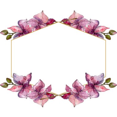 Orkide çiçek botanik çiçekleri. Yabani bahar yaprağı kır çiçeği. Suluboya arka plan illüstrasyon seti. Suluboya çizim moda aquarelle. Çerçeve kenarlık süs karesi.
