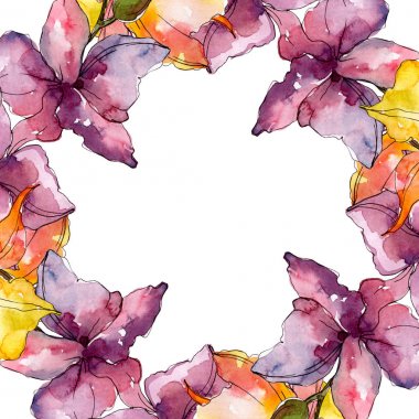 Orkide çiçek botanik çiçekleri. Yabani bahar yaprağı kır çiçeği. Suluboya arka plan illüstrasyon seti. Suluboya çizim moda aquarelle. Çerçeve kenarlık süs karesi.