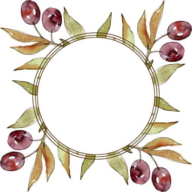 Siyah ve yeşil meyveli zeytin dalı. Suluboya arka plan illüstrasyon seti. Çerçeve kenarlık süs karesi.