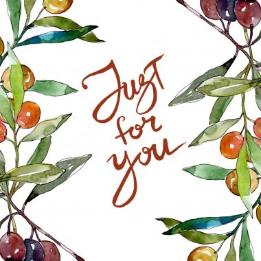 Siyah ve yeşil meyveli zeytin dalı. Suluboya arka plan illüstrasyon seti. Çerçeve kenarlık süs karesi.