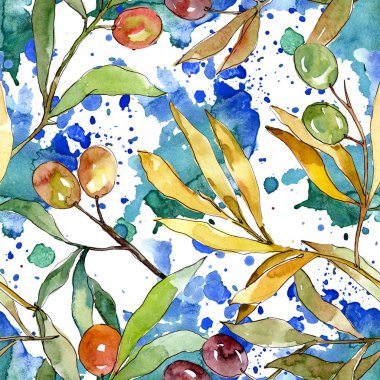 Siyah ve yeşil meyveli zeytin dalı. Suluboya arka plan illüstrasyon seti. Kesintisiz arka plan deseni.