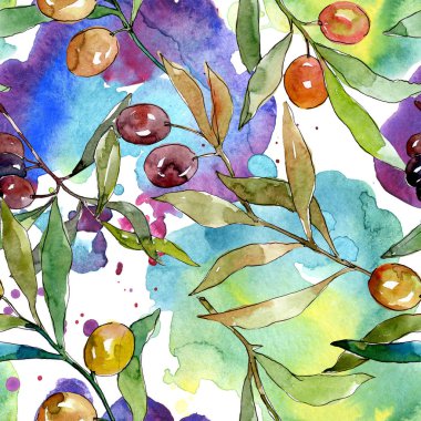 Siyah ve yeşil meyveli zeytin dalı. Suluboya arka plan illüstrasyon seti. Kesintisiz arka plan deseni.