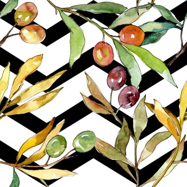 Siyah ve yeşil meyveli zeytin dalı. Suluboya arka plan illüstrasyon seti. Kesintisiz arka plan deseni.