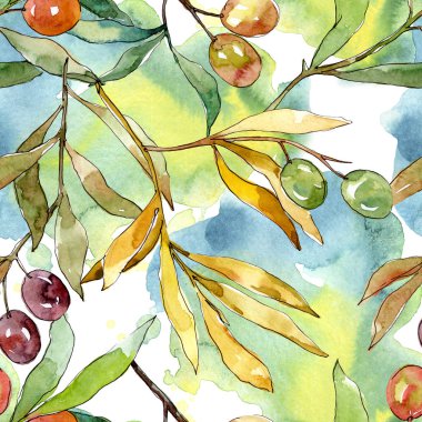 Siyah ve yeşil meyveli zeytin dalı. Suluboya arka plan illüstrasyon seti. Kesintisiz arka plan deseni.