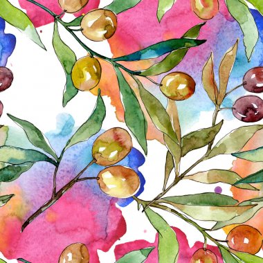 Siyah ve yeşil meyveli zeytin dalı. Suluboya arka plan illüstrasyon seti. Kesintisiz arka plan deseni.
