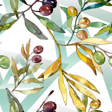 Siyah ve yeşil meyveli zeytin dalı. Suluboya arka plan illüstrasyon seti. Kesintisiz arka plan deseni.