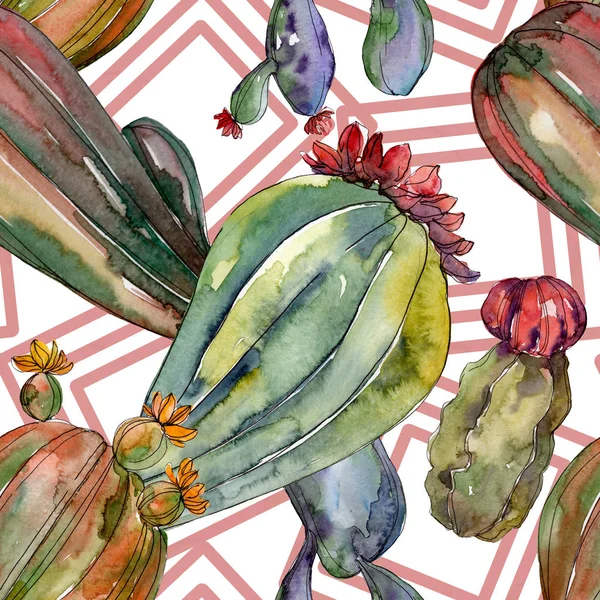 Цветочные Ботанические Цветы Кактуса Дикий Весенний Цветок Набор Акварельных Рисунков — стоковое фото