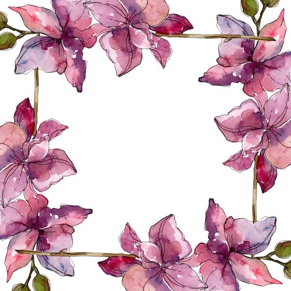 Orkidé Blommiga Botaniska Blommor Wild Spring Leaf Wildflower Akvarell Bakgrund — Stockfoto