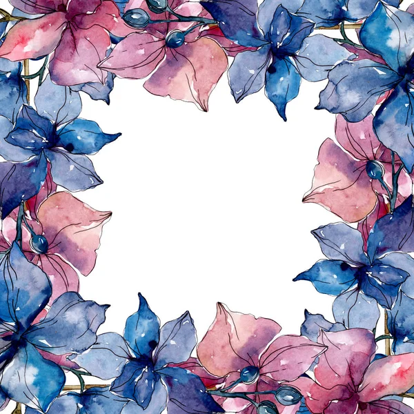 蘭の花の植物の花 野生の春の葉の野生の花 水彩背景イラストセット 水彩画ファッションアクアレル フレームボーダーオーナメント正方形 — ストック写真