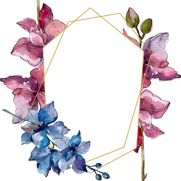 蘭の花の植物の花 野生の春の葉の野生の花 水彩背景イラストセット 水彩画ファッションアクアレル フレームボーダークリスタルオーナメント正方形 — ストック写真