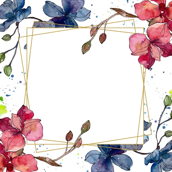 Orchid floral botanical flowers. Watercolor background illustration set. Frame border ornament square. — Stock Photo, Image