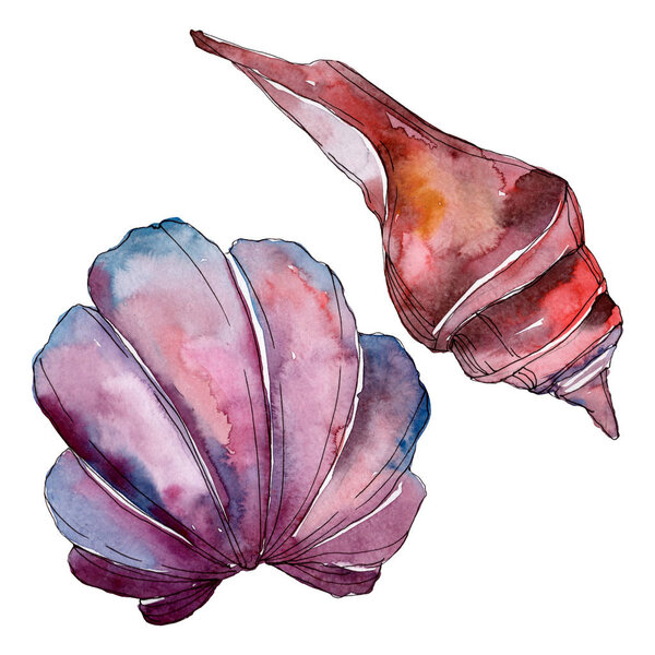 Летние пляжные элементы. Акварельный набор фона. Изолированный элемент иллюстрации оболочки
.