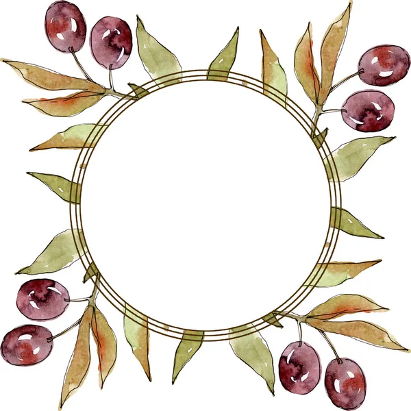 Olivenzweig mit schwarzen und grünen Früchten. Aquarell Hintergrundillustration Set. Rahmen Rand Ornament Quadrat. — Stockfoto