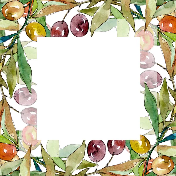橄榄枝与黑色和绿色的水果。水彩背景插图集。框架边框装饰广场. — 图库照片