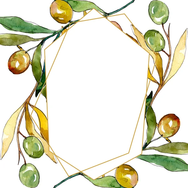 Gałązka oliwna z czarnym i zielonym owocem. Akwarela zestaw ilustracji tła. Obramowanie ramy ornament kwadrat. — Zdjęcie stockowe