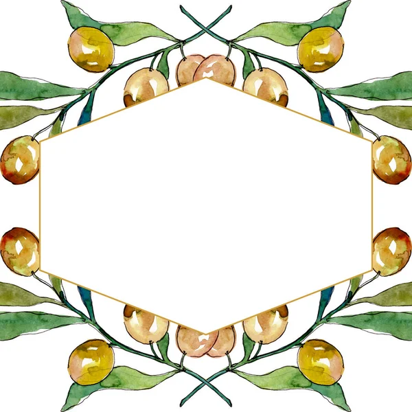 Olive branch with black and green fruit. Watercolor background illustration set. Frame border ornament square. — Stock Photo, Image