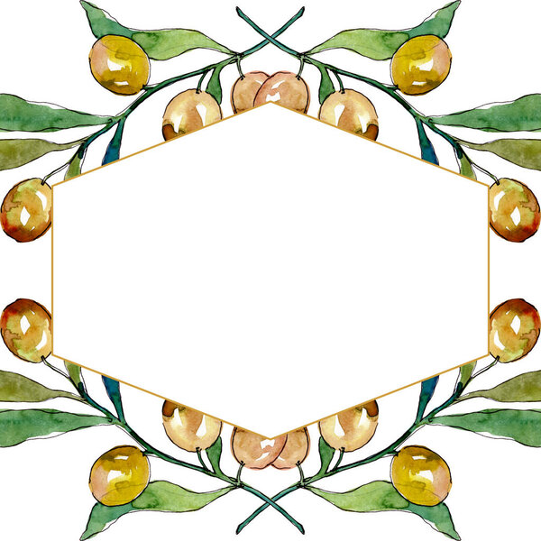 Оливковая ветвь с черными и зелеными фруктами. Набор акварельных фонов. Граничный орнамент
.