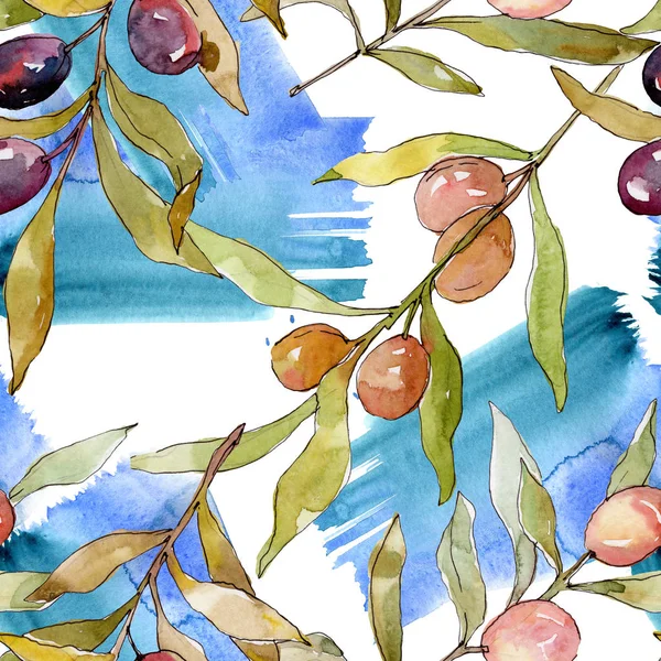 Branche Olivier Aux Fruits Noirs Verts Ensemble Illustration Fond Aquarelle — Photo