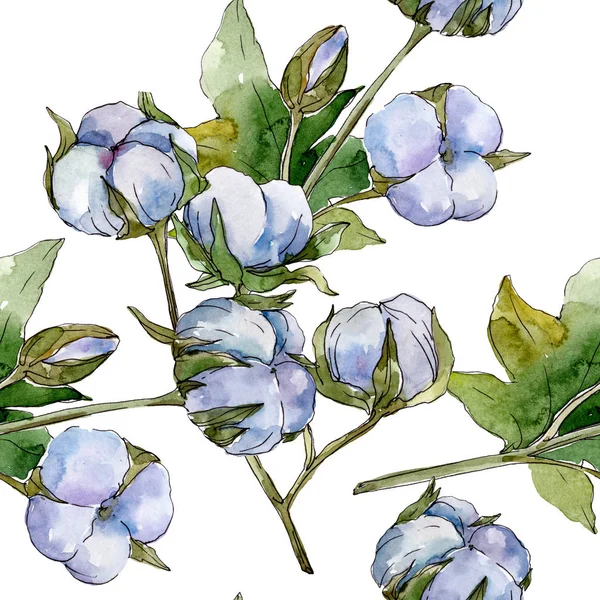 Flores Botánicas Florales Algodón Blanco Juego Ilustración Acuarela Patrón Fondo — Foto de Stock