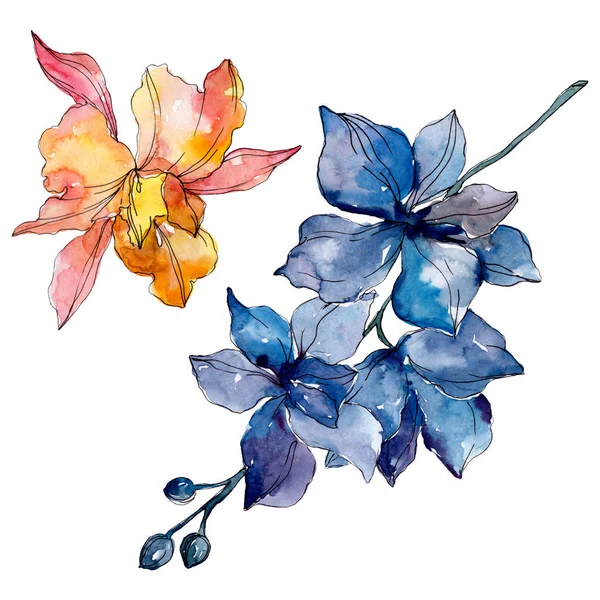 Featured image of post Flores Orquidea Para Dibujar A Color