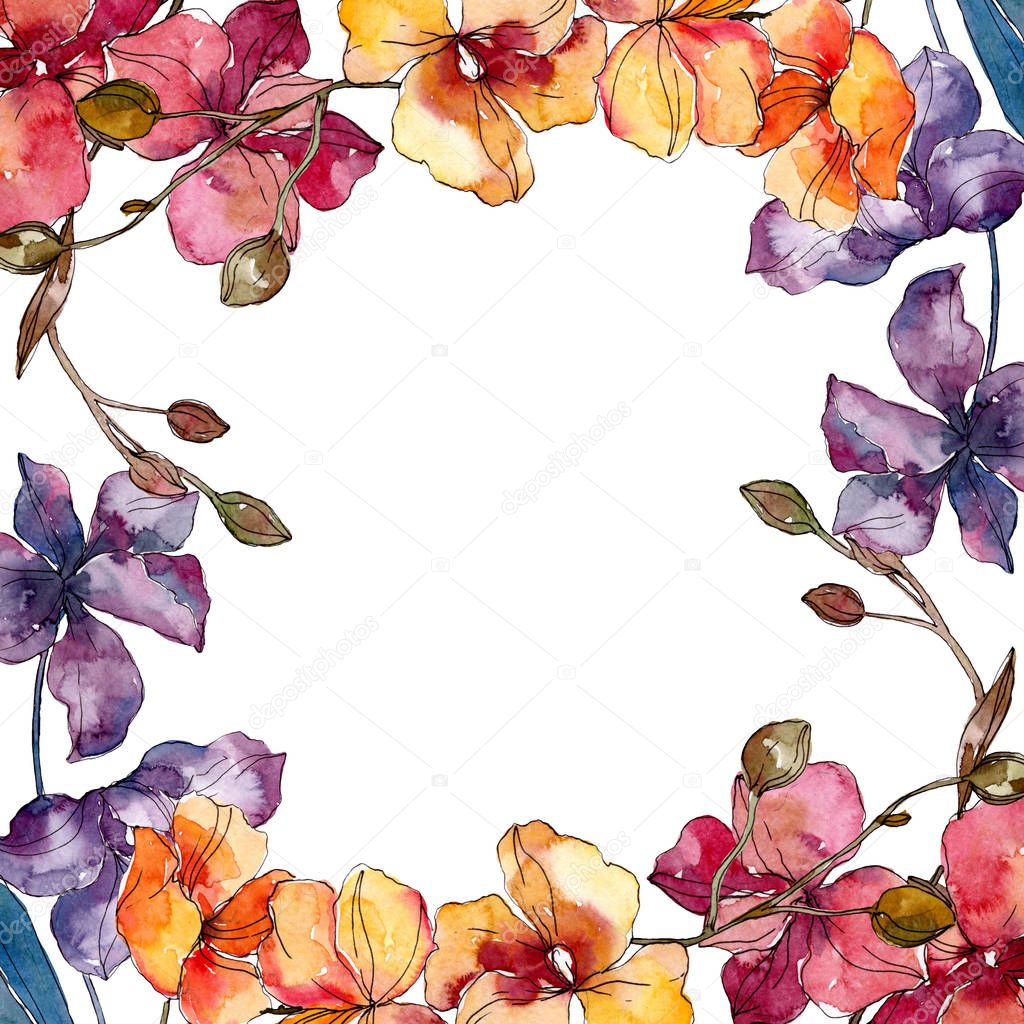 Orchid floral botanical flowers. Watercolor background illustration set. Frame border ornament square.