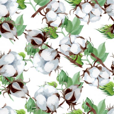 Beyaz pamuk çiçek botanik çiçek. Yabani bahar yaprağı kır çiçeği. Suluboya illüstrasyon seti. Suluboya çizim moda aquarelle. Kusursuz arka plan deseni. Kumaş duvar kağıdı baskı doku.