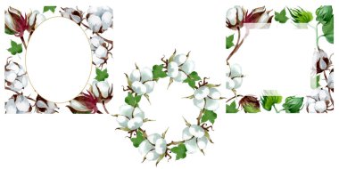 Beyaz pamuk çiçek botanik çiçek. Yabani bahar yaprağı kır çiçeği. Suluboya arka plan illüstrasyon seti. Suluboya çizim moda aquarelle. Çerçeve kenar kristal süs kare.
