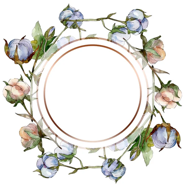 White Cotton Floral Botanical Flowers Watercolor Background Illustration Set Frame — Stock Photo, Image