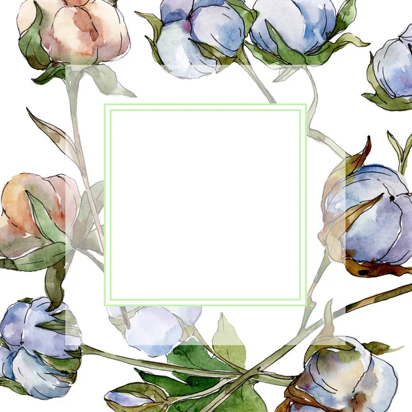 Fehér Pamut Virágos Botanikai Virágok Akvarell Háttér Illusztráció Meg Keretszegély — Stock Fotó