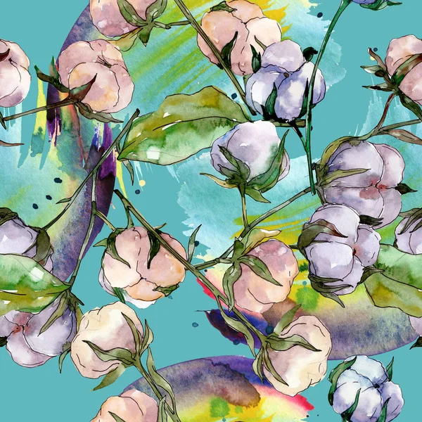 Baumwolle Blumen Botanische Blume Wilde Frühlingsblume Aquarell Illustrationsset Vorhanden Aquarell — Stockfoto