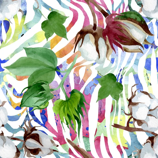 Fiore Botanico Floreale Cotone Bianco Fiordaliso Selvatico Set Illustrazione Acquerello — Foto Stock