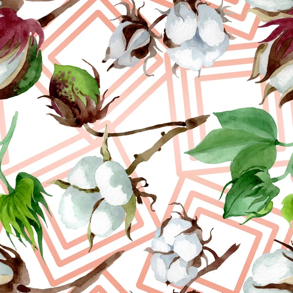 Fiore Botanico Floreale Cotone Bianco Fiordaliso Selvatico Set Illustrazione Acquerello — Foto Stock