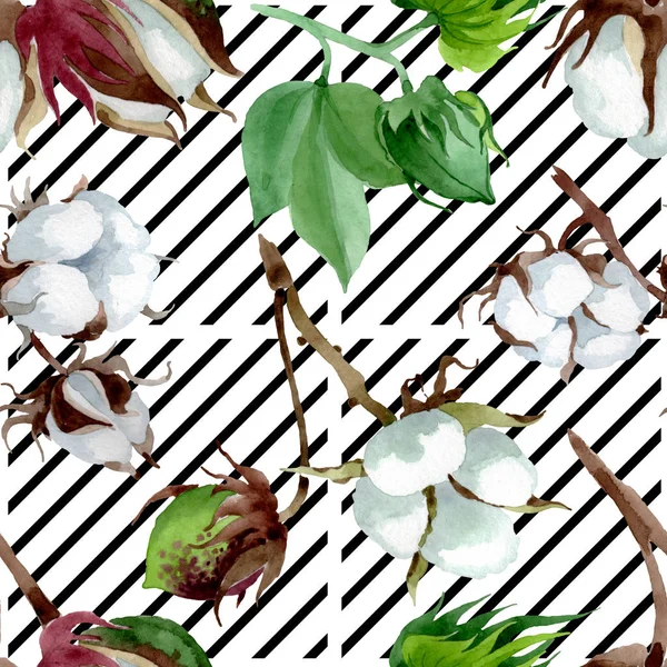 Fiore Botanico Floreale Cotone Bianco Fiordaliso Selvatico Set Illustrazione Acquerello — Foto Stock