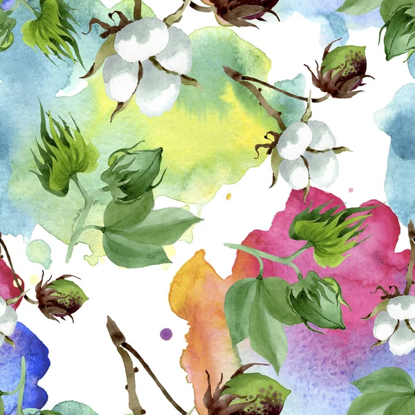 Bílé Bavlněné Květinové Květiny Divoké Květinové Listy Akvarel Obrázku Akvarel — Stock fotografie
