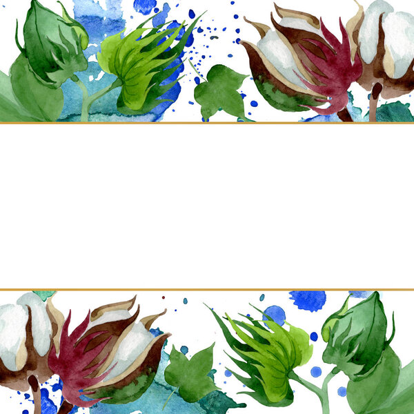 White cotton floral botanical flower. Wild spring leaf wildflower isolated. Watercolor background illustration set. Watercolour drawing fashion aquarelle. Frame border ornament square.